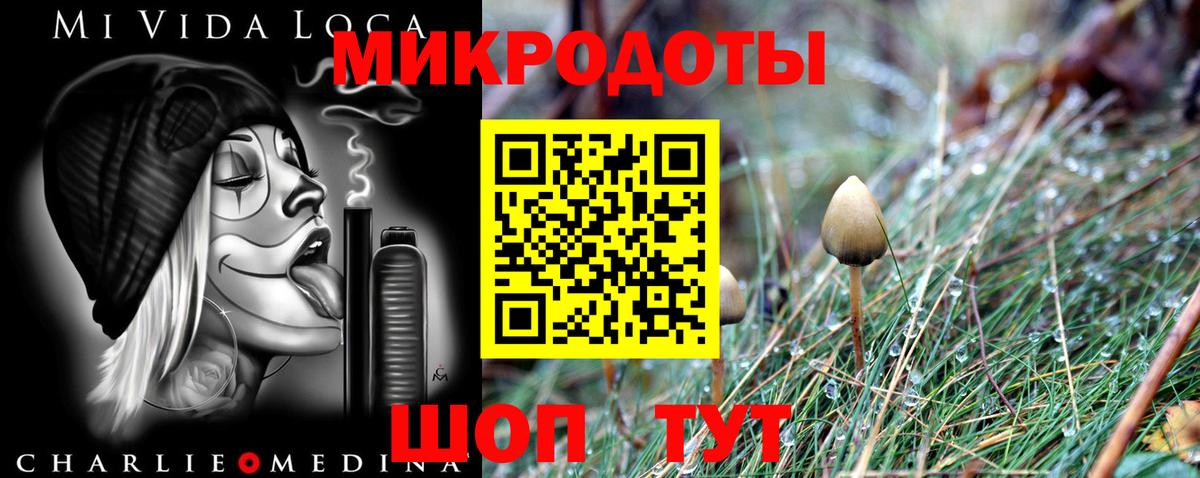 Галлюциногенные грибы MAGIC MUSHROOMS Пугачёв